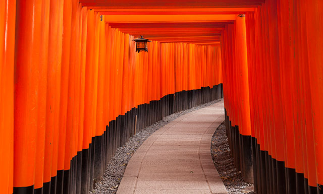 鳥居の写真